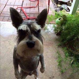 Meet your Posher, Kyler